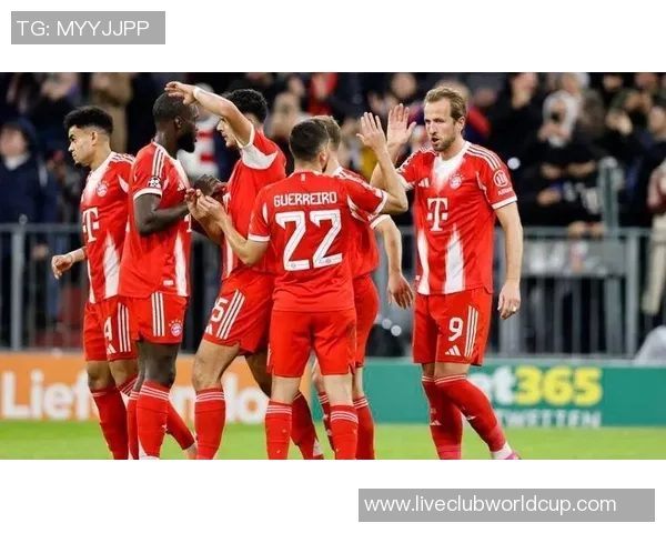 凯恩的足球传奇之路：从青涩少年到世界顶级前锋的蜕变与荣耀