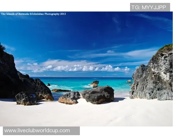 巴拿马与百慕大群的对决分析与精彩瞬间回顾